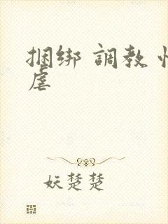 捆绑 调教 性虐封面