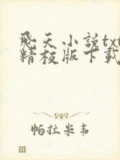 飞天小说txt精校版下载