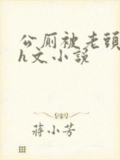 公厕被老头玩弄h文小说封面