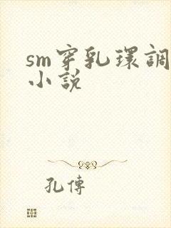 sm穿乳环调教小说