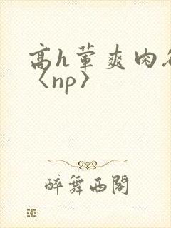 高h荤爽肉欲文〈np〉