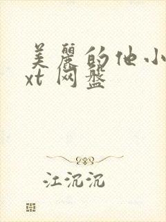 美丽的他小说txt 网盘