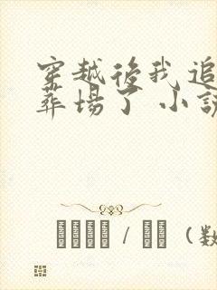 穿越后我追妻火葬场了 小说