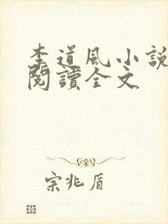 李道风小说在线阅读全文