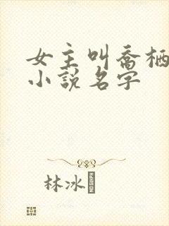 女主叫乔栖梧的小说名字封面