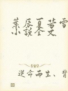 叶辰夏若雪孙怡小说全文