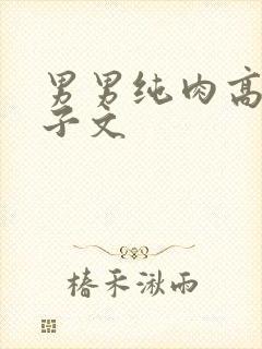 男男纯肉高h生子文