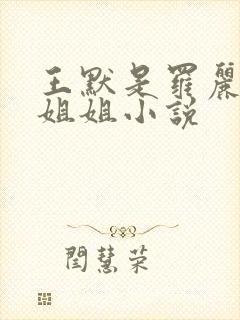 王默是罗丽的亲姐姐小说