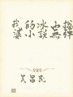 我的冰山总裁老婆小说无弹窗封面