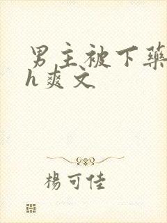 男主被下药后高h爽文