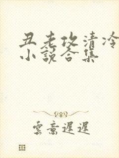 丑老攻清冷美人小说合集