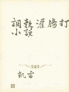 调教灌肠打屁股小说封面