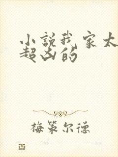 小说我家太子妃超凶的