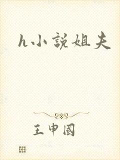 h小说姐夫