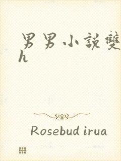 男男小说双性高h