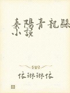 秦阳青龙县县长小说