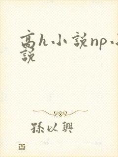 高h小说np小说