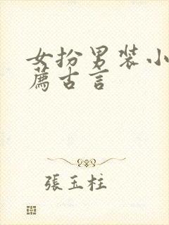 女扮男装小说推荐古言