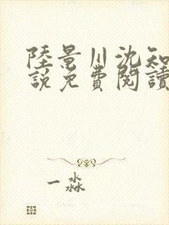 陆景川沈知意小说免费阅读全文最新章节封面