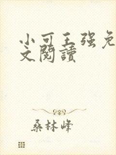 小可王强免费全文阅读封面