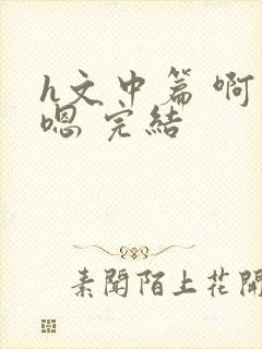 h文中篇 啊…嗯 完结