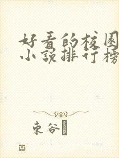 好看的校园言情小说排行榜前十名封面