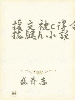 援交被c得合不拢腿h小说