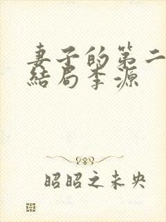 妻子的第二春大结局李源