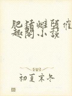 肥猪雌堕催眠笔趣阁小说封面