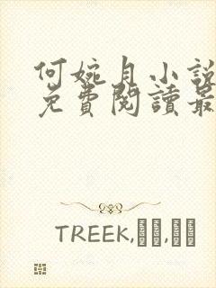 何婉月小说全文免费阅读最新章节