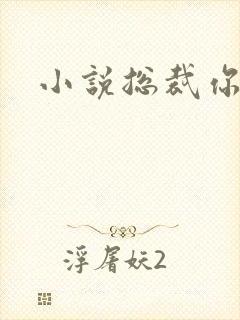 小说总裁你别坏