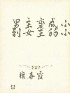 男主变成小孩遇到女主的小说