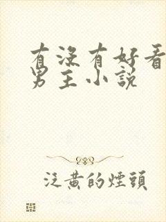 有没有好看的双男主小说封面