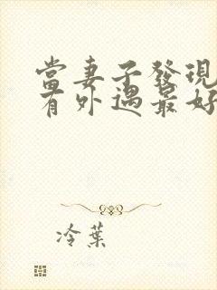 当妻子发现丈夫有外遇最好怎么做封面