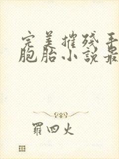 完美摧残手册双胞胎小说最新章节更