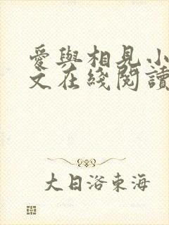 爱与相见小说全文在线阅读