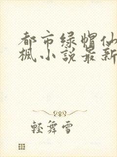 都市绿帽仙帝陈枫小说最新章节更新