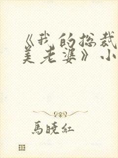 《我的总裁白富美老婆》小说