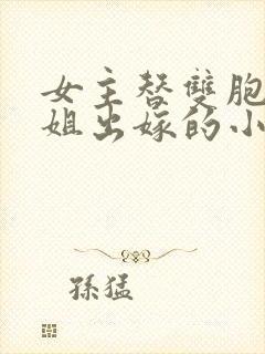 女主替双胞胎姐姐出嫁的小说