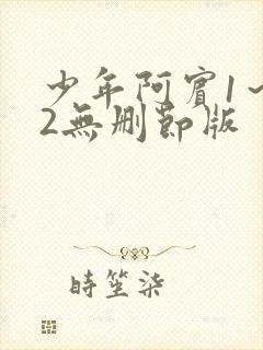 少年阿宾1～72无删节版封面