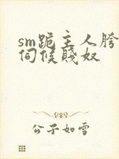 sm跪主人胯下伺候贱奴封面