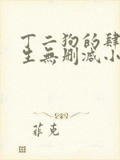丁二狗的肆意人生无删减小说免费