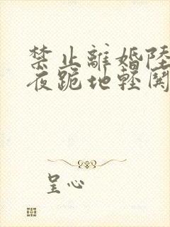 禁止离婚陆少夜夜跪地轻哄全文txt全文下载