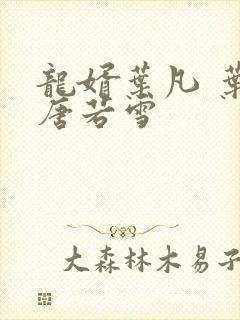 龙婿叶凡 叶凡唐若雪封面