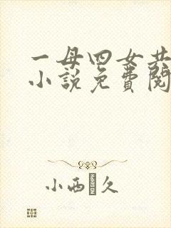 一母四女共一婿小说免费阅读封面