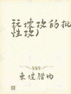 玩坏攻的批(双性攻)