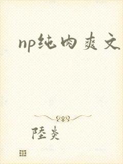 np纯肉爽文