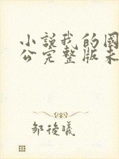 小说我的国民老公完整版未删减小说