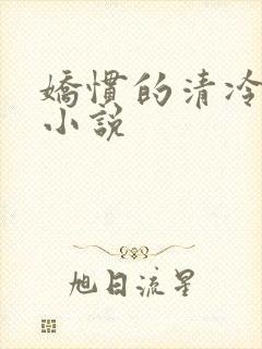 娇惯的清冷美人小说封面