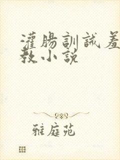 灌肠训诫羞耻调教小说